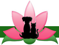 the_pink_lotus_network006007.jpg