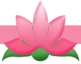 the_pink_lotus_network_jan_2026002006.jpg